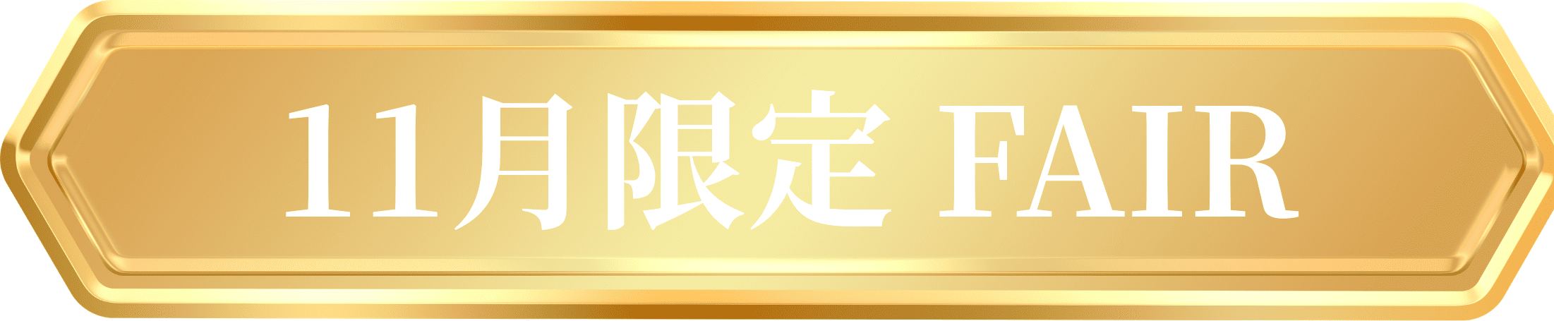 11月限定 FAIR