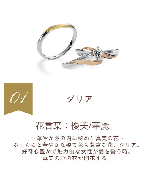 ダリア　花言葉：優美・華麗　〜華やかさの内に秘めた真実の花〜ふっくらと華やかな姿で色も豊富な花、ダリア。好奇心豊かで魅力的な女性が愛を誓う時、真実の心の花が開花する。
