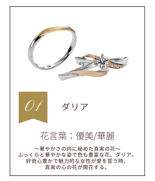 ダリア　花言葉：優美/華麗　〜華やかさの内に秘めた真実の花〜ふっくらと華やかな姿で色も豊富な花、ダリア。好奇心豊かで魅力的な女性が愛を誓う時、真実の心の花が開花する。